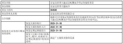 恢复主题华为手机主题
:富安达消费主题灵活配置混合型证券 投资基金恢复（大额）申购（转换转入、 定期定额投资）的公告