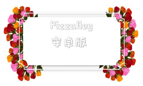 PizzaBoy安卓版pizza配送2动漫在线观看